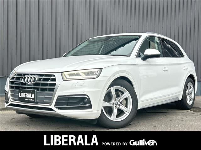 Audi Q5 1