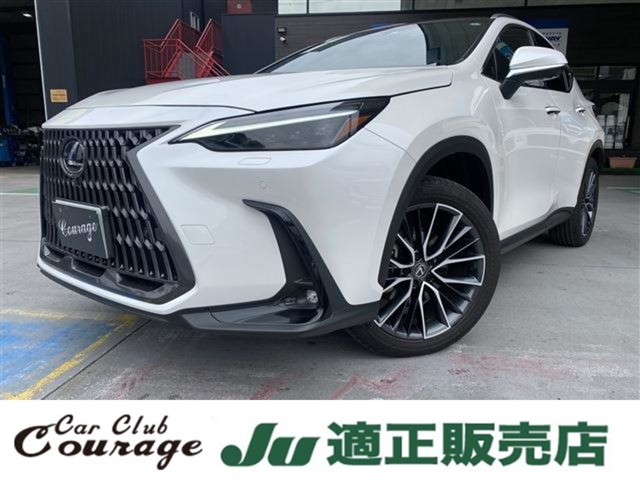 Lexus NX 1
