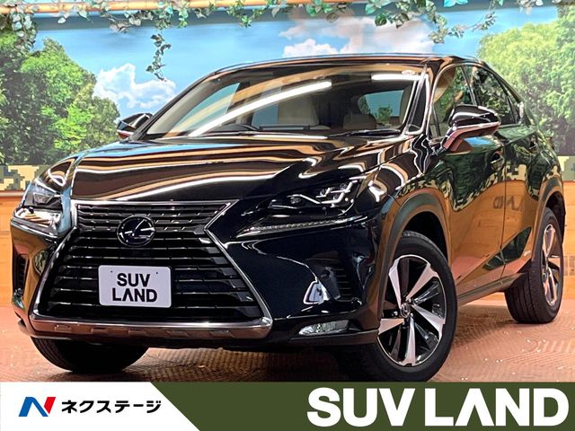 Lexus NX 1