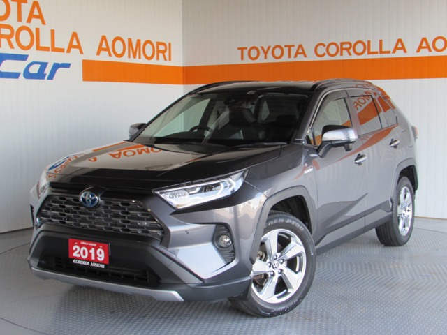 Toyota RAV4 1