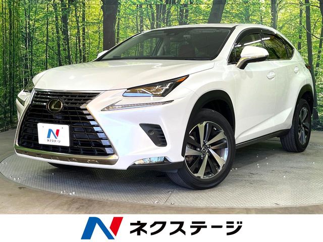 2019 Lexus NX