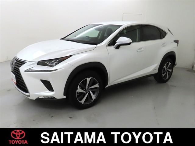 Lexus NX 1