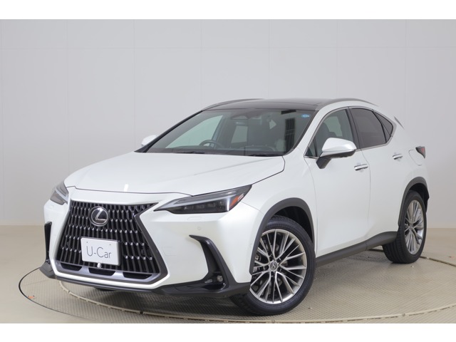 Lexus NX 1