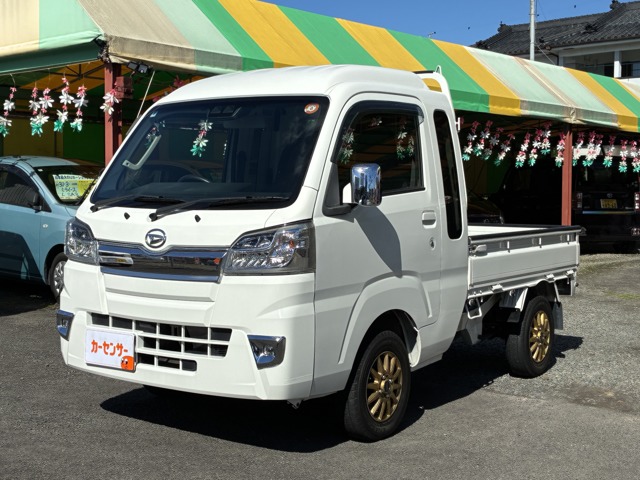 Daihatsu Hijet Truck 1