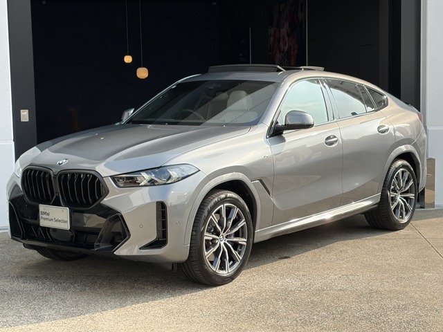 BMW X6 1