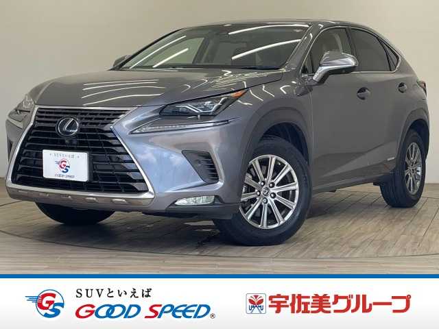 Lexus NX 1