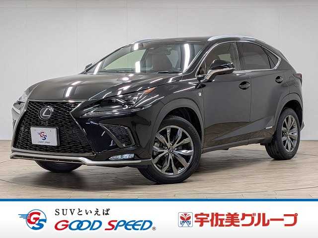 Lexus NX 1