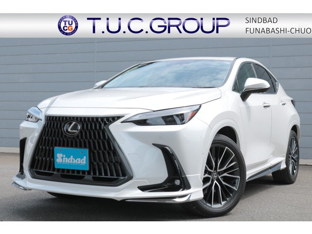 Lexus NX 1