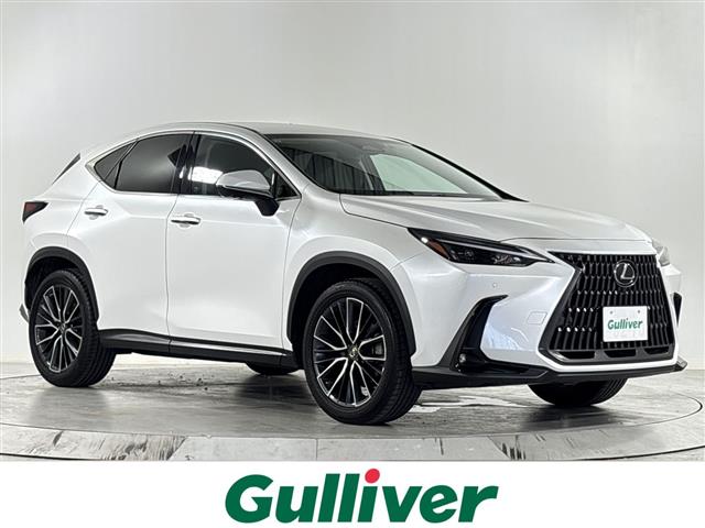 Lexus NX 1