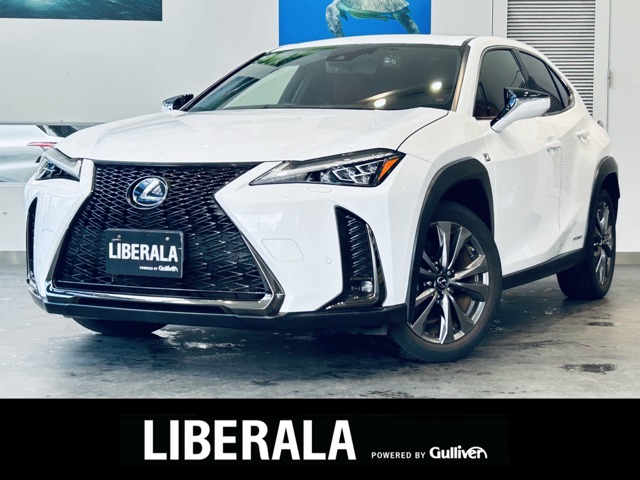 2019 Lexus UX