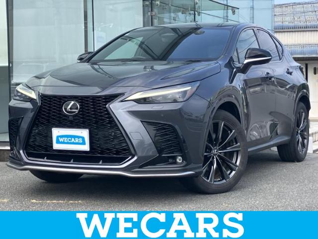 Lexus NX 1
