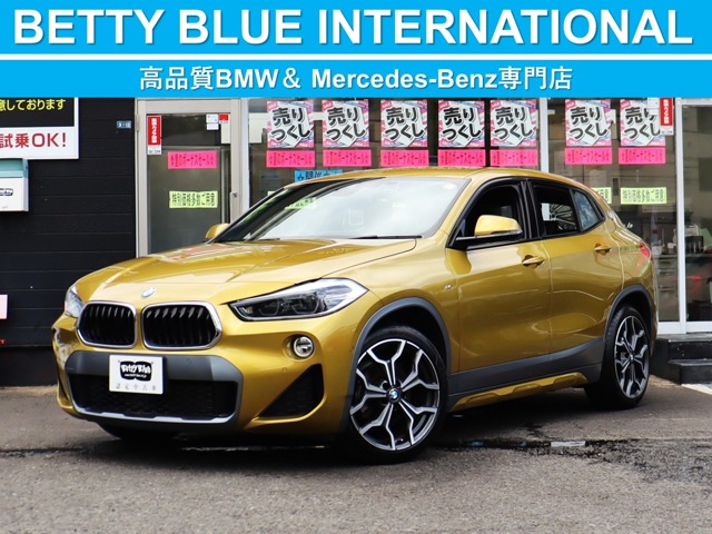 2020 BMW X2