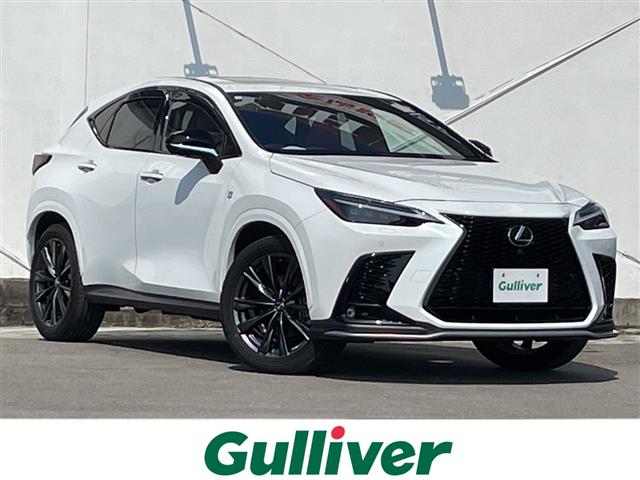 Lexus NX 1