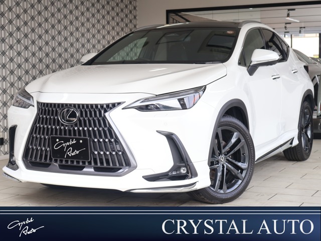 2023 Lexus NX