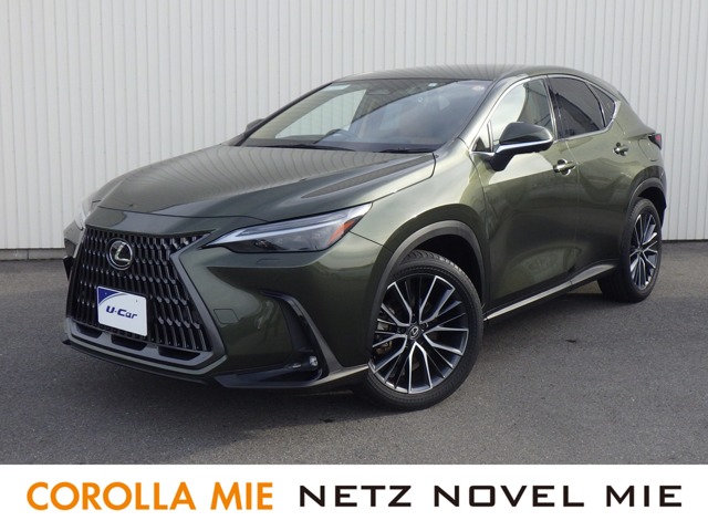 2023 Lexus NX