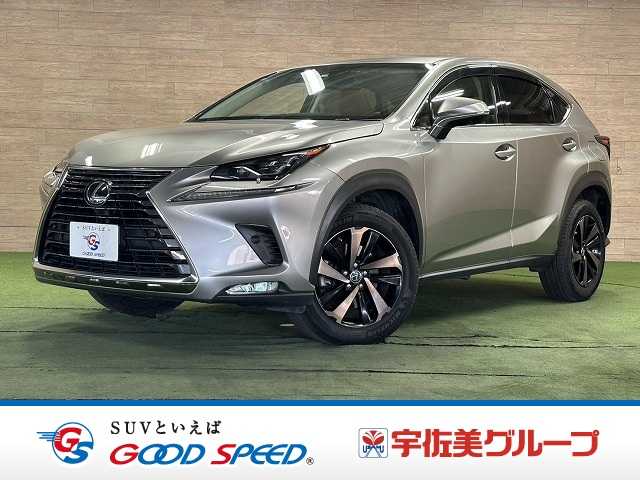 Lexus NX 1