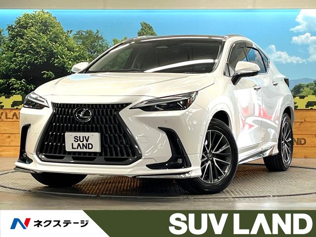 2024 Lexus NX