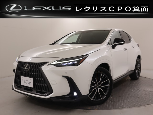 2022 Lexus NX