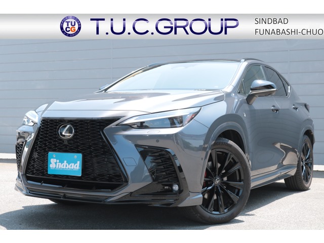 Lexus NX 1