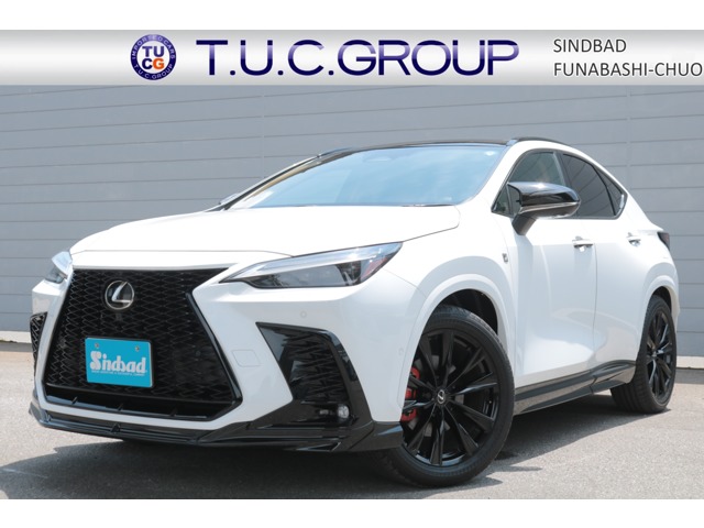 2024 Lexus NX