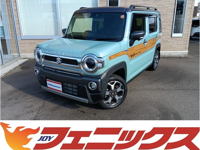 Suzuki Hustler 1