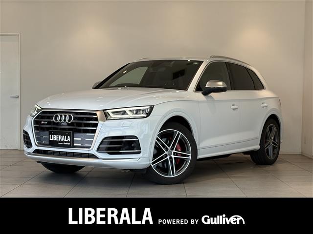 Audi SQ5 1