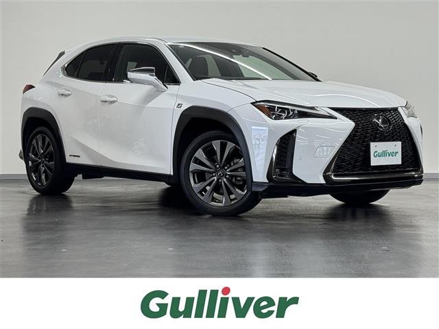 2020 Lexus UX