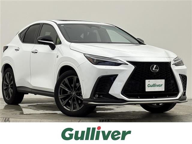 Lexus NX 1