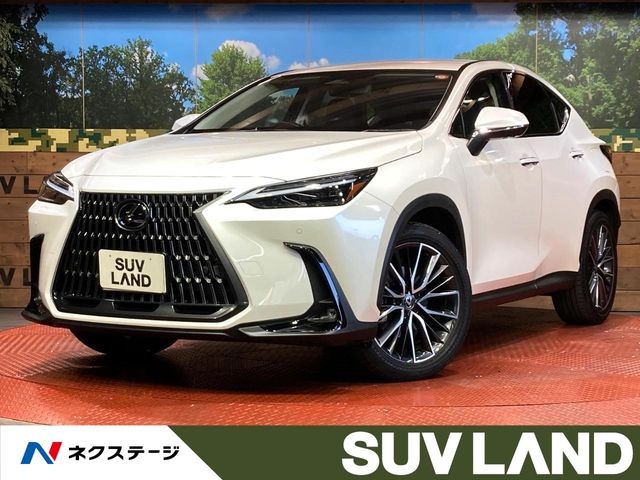Lexus NX 1