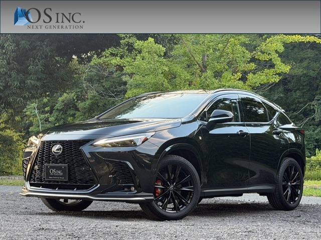 Lexus NX 1