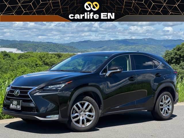 Lexus NX 1