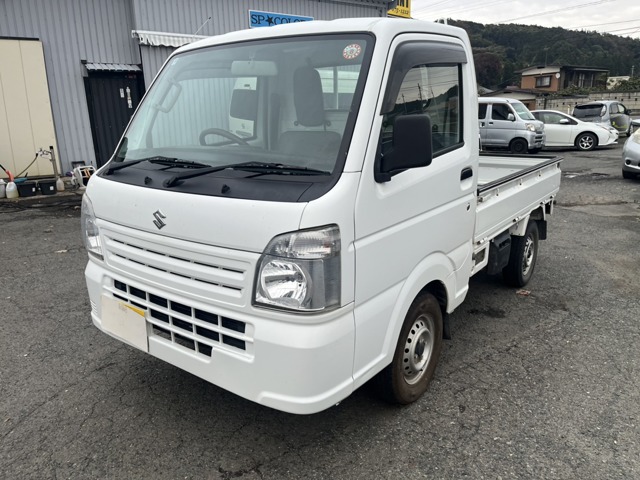 Suzuki Carry 1