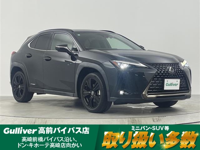 2021 Lexus UX