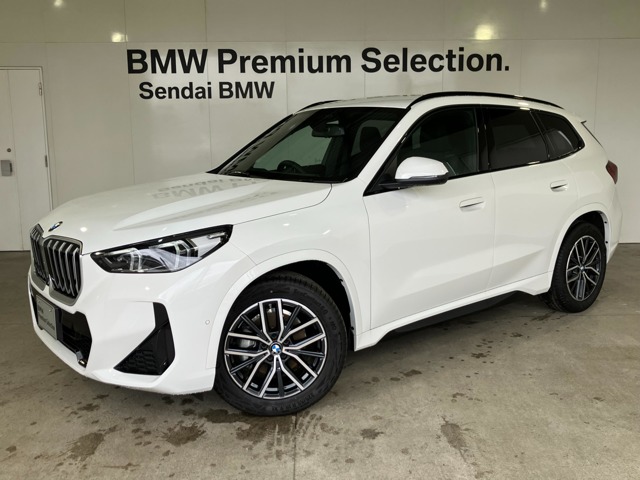 BMW X1 1
