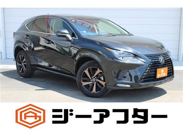 Lexus NX 1