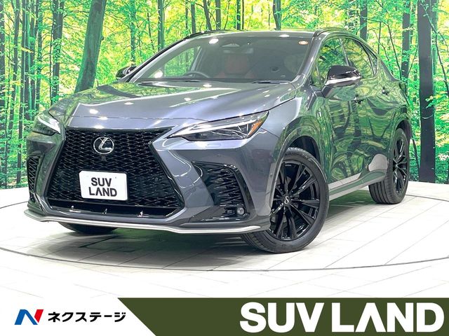 Lexus NX 1