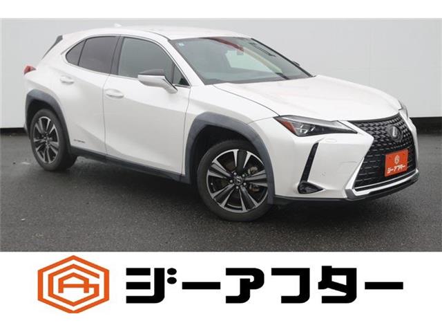 2019 Lexus UX