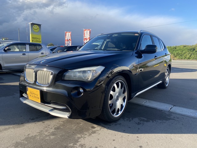 2010 BMW X1