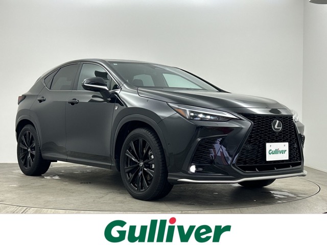 2025 Lexus NX