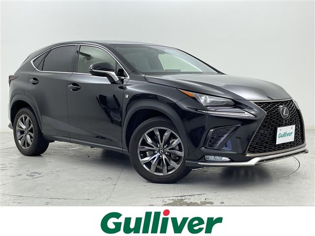 Lexus NX 1