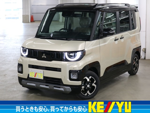 Mitsubishi Delica Mini 1