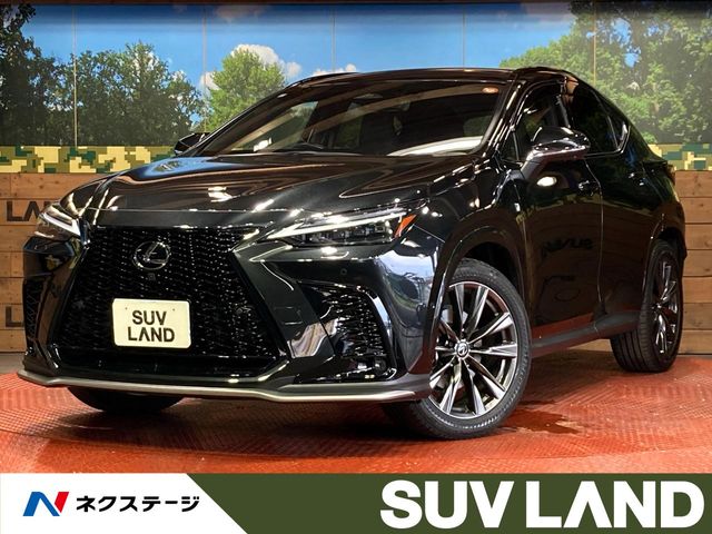 Lexus NX 1