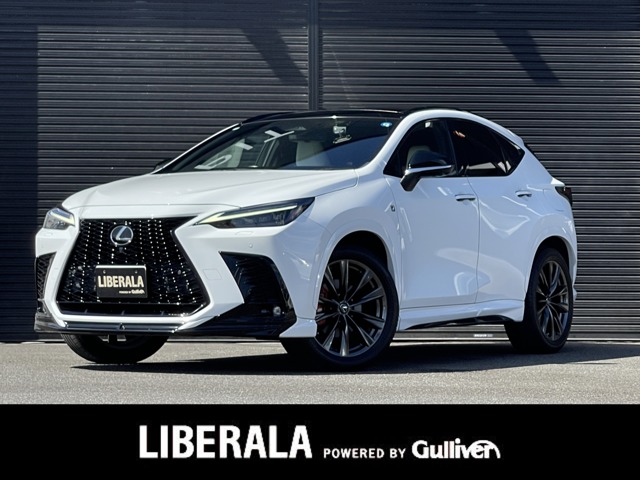 2022 Lexus NX