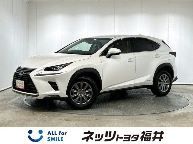 Lexus NX 1