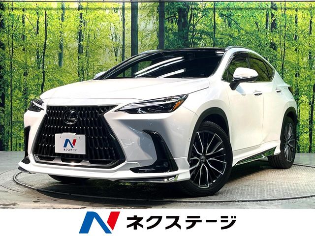 2023 Lexus NX