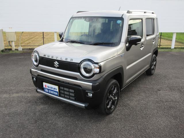 Suzuki Hustler 1