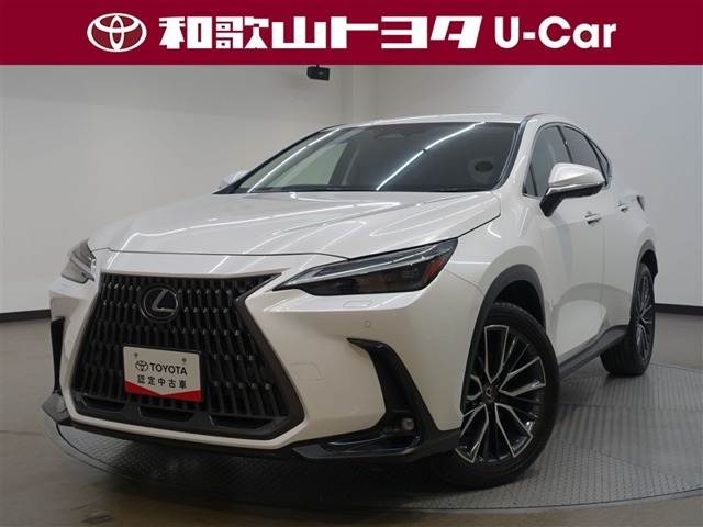 Lexus NX 1