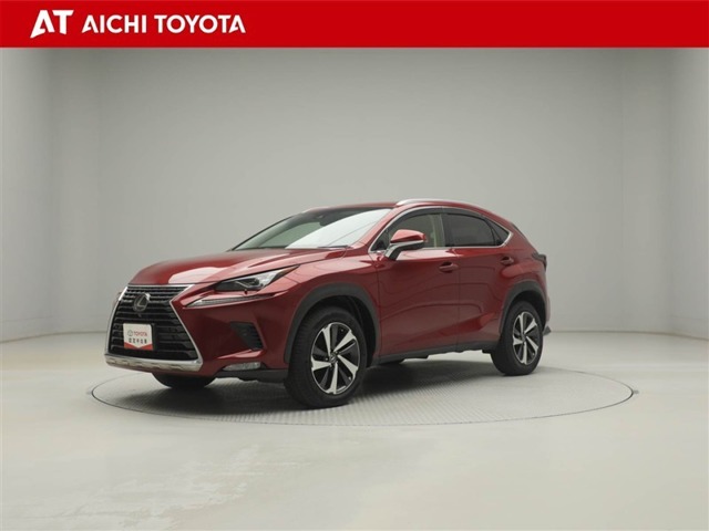 Lexus NX 1