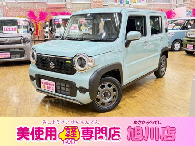 Suzuki Hustler 1