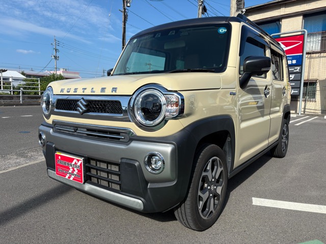 Suzuki Hustler 1